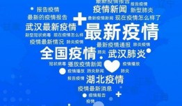 平顶山最新爆料实时疫情,实时数据揭示防控进展与挑战